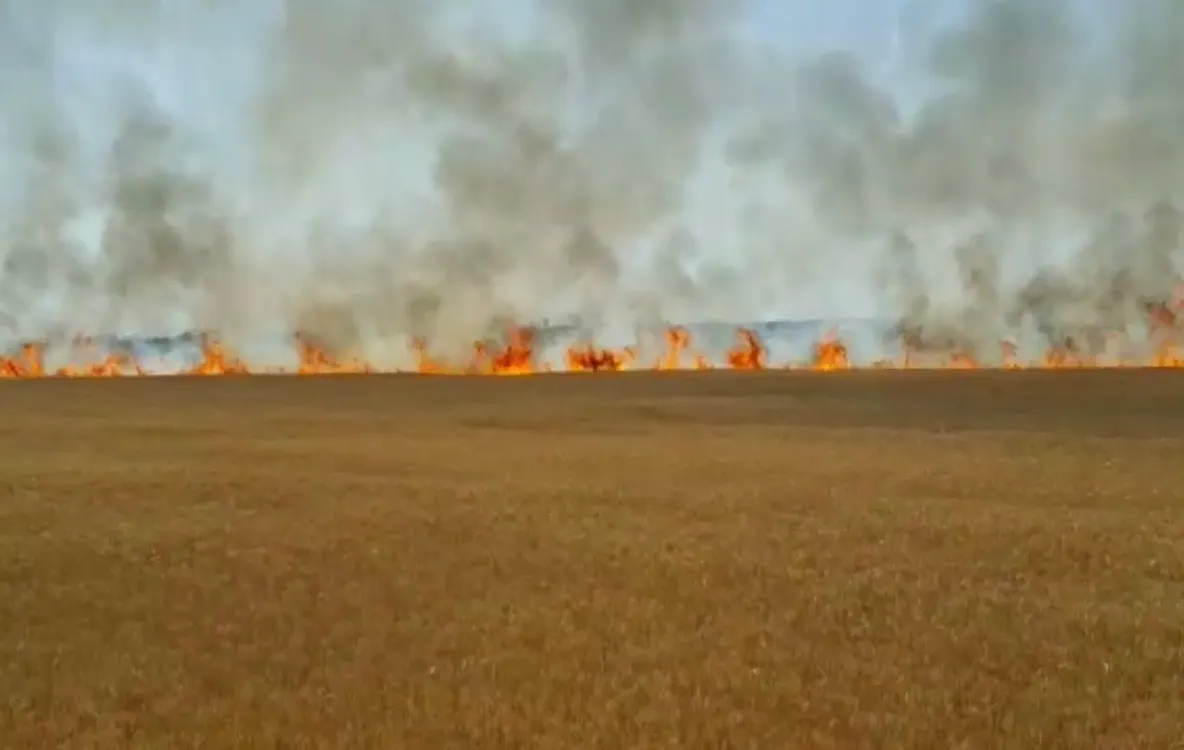 Imagini senzaționale| Pompierii prahoveni intervin  pentru stingerea a trei incendii de vegetație uscată   VIDEO