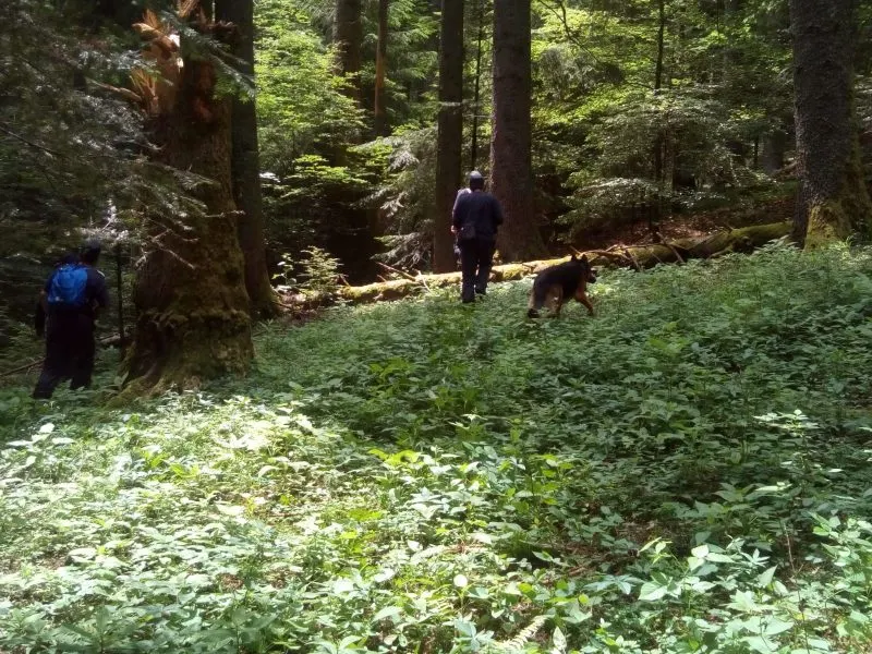 VIDEO | Cetățean american, dispărut în zona Crucii Caraiman din Bucegi, căutat cu elicopterul