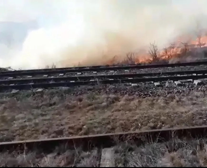 Incendii vegetație uscată în mai multe localități prahovene. Unul este în apropierea unei căi ferate VIDEO