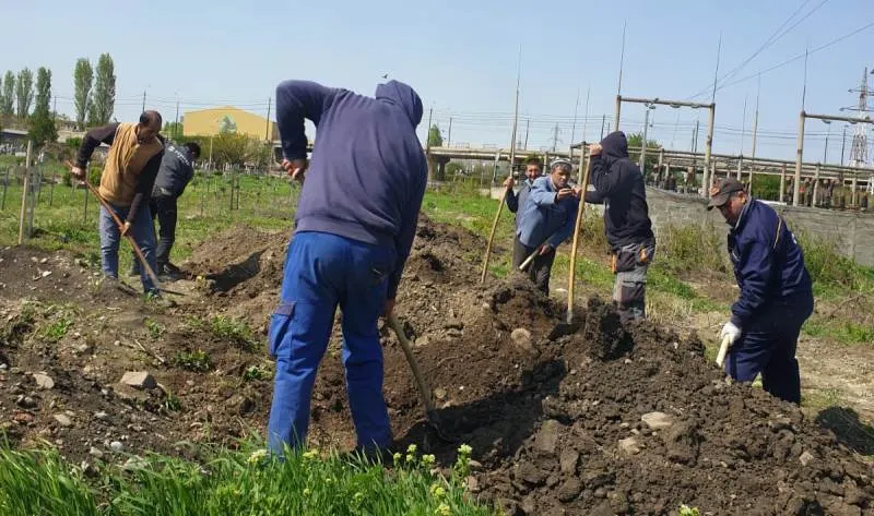 INCREDIBIL! Opt nou-născuți morți la Maternitatea Ploiești, îngropați după 12 ani | FOTO