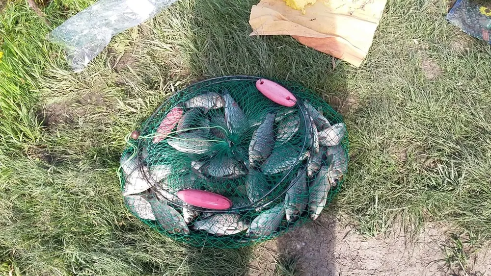Amenzi de peste 160.000 de lei date de DSV Prahova în perioada estivală
