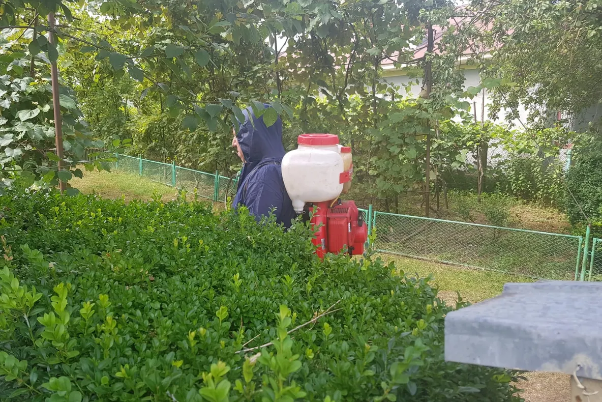 Numărul cazurilor de pestă porcină, în continuă creștere în Prahova