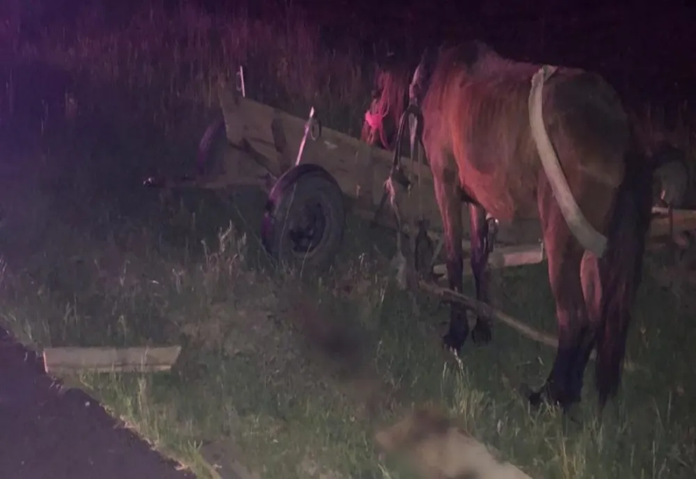 Prahova: A lovit cu maşina o căruţă şi a fugit de la locul accidentului!