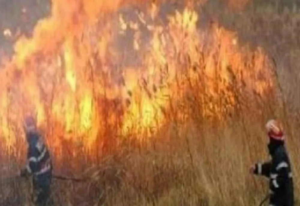 16 incendii de vegetație uscată în Prahova în ultimele 24 de ore 