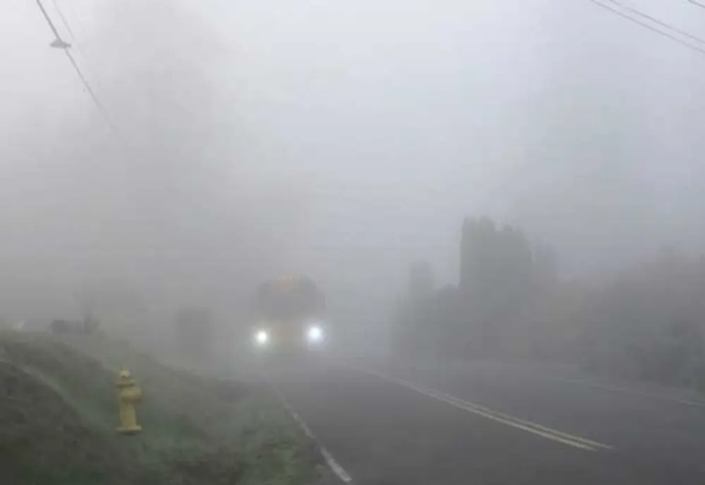 Cod galben de ceață în Prahova. Informare meteo de ninsori, vânt și răcire accentuată a vremii 