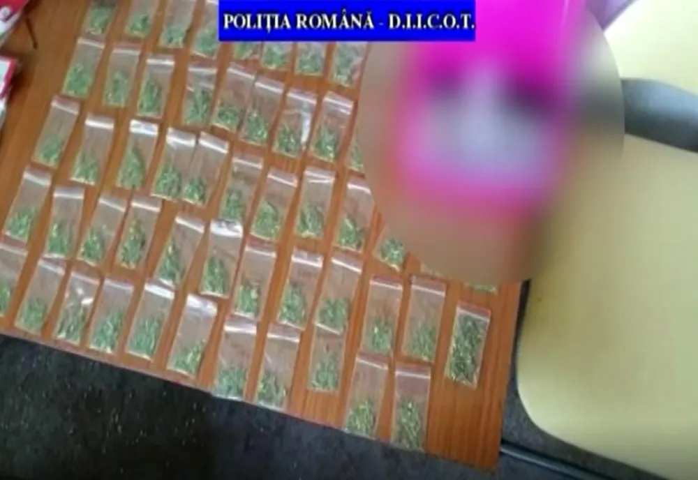 Percheziții efectuate la persoane bănuite de vânzare de substanțe psihoactive, în Prahova, Brăila și Galați 