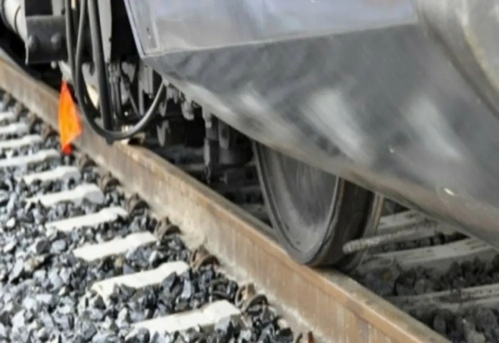 Prahova. Un cioban și 18 animale au murit după ce au fost loviți de tren