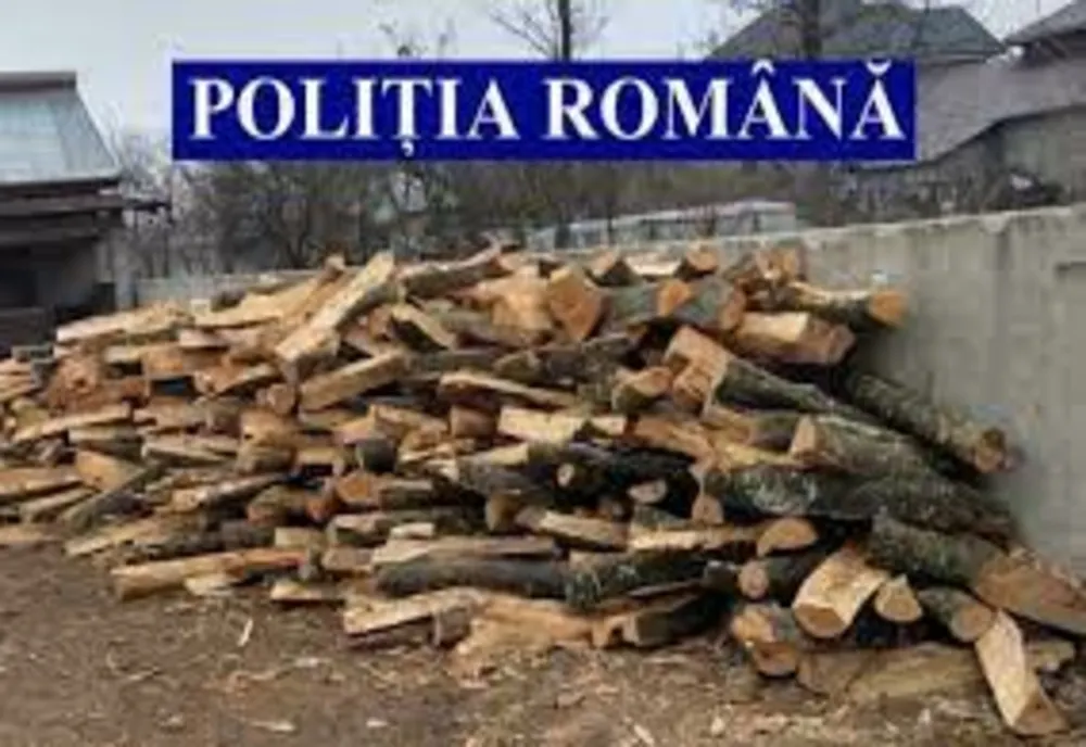 Percheziții la Valea Doftanei. Administratorul unei societăți a fost reținut