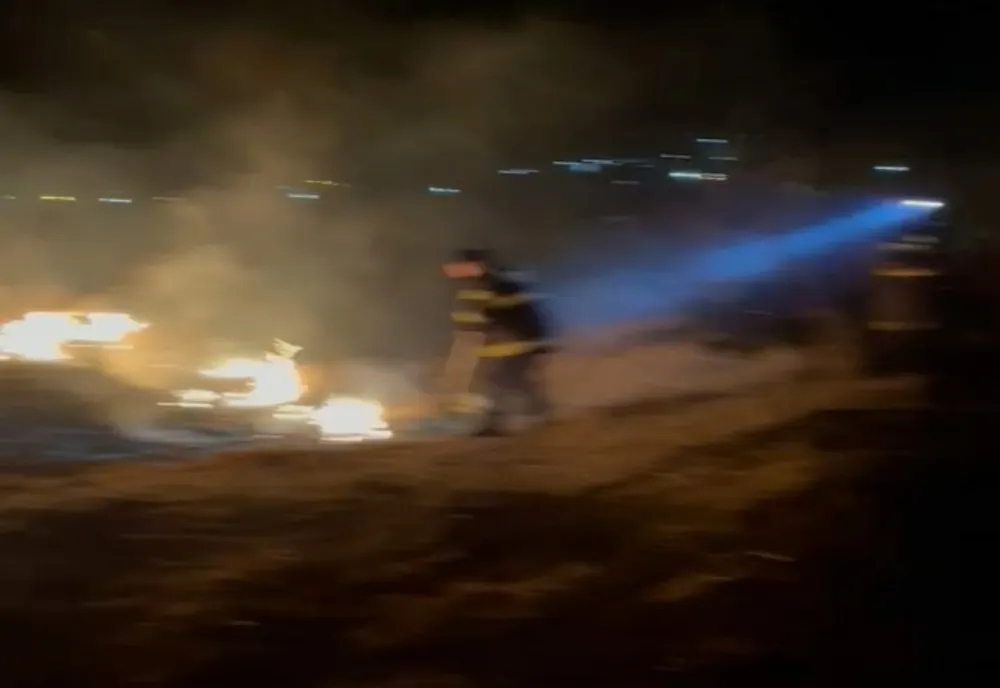 Incendiu de vegetație în Boldeşti Scăeni, cu pericol de propagare la sondele din zonă