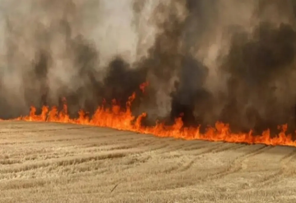 Incendiu în comuna Șirna. Ard trei hectare dintr-un lan de grâu