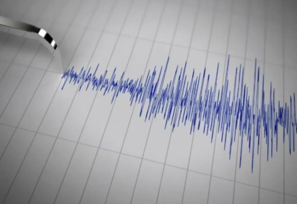 Cutremur, vineri dimineața, în România. Ce magnitudine a avut și unde s-a resimțit seismul