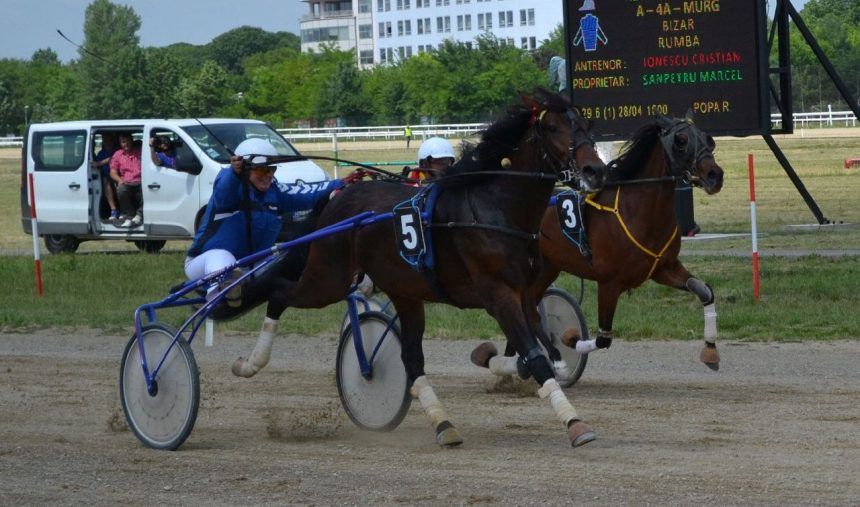 Curse de trap şi galop, dar şi un show ecvestru, pe Hipodromul Ploieşti!