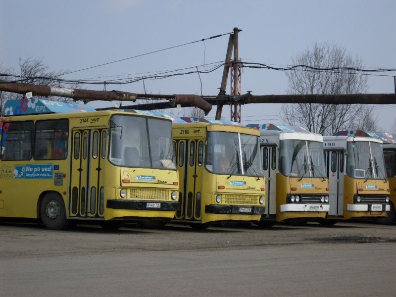 Angajații societății de transport în comun din Ploiești, la un pas să declanșeze GREVA GENERALĂ