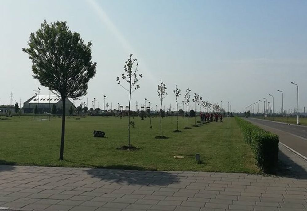 Controale în Prahova, privind suprafețele de spații verzi din mediul urban 