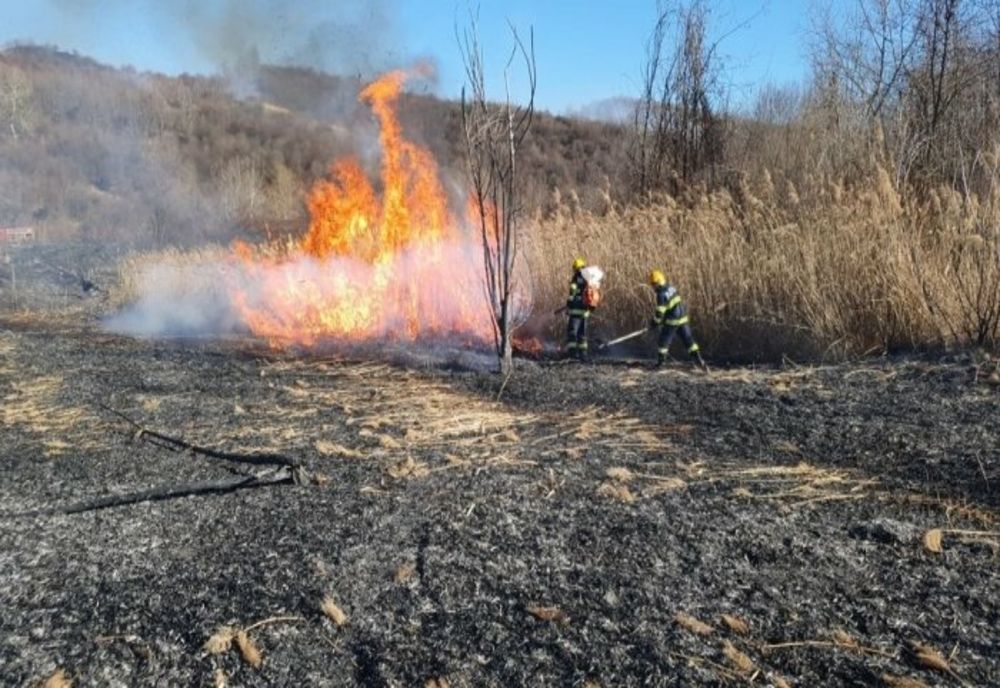  Incendiu pe 5 hectare, la granița dintre Prahova și Dâmbovița