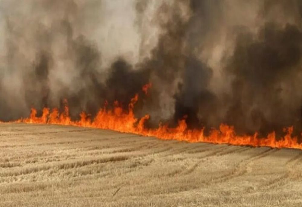 Incendiu în comuna Șirna. Ard trei hectare dintr-un lan de grâu