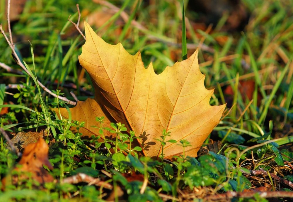 PROGNOZA METEO PENTRU DUMINICĂ, 26 OCTOMBRIE