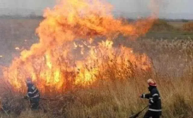 incendiu_vegetaie