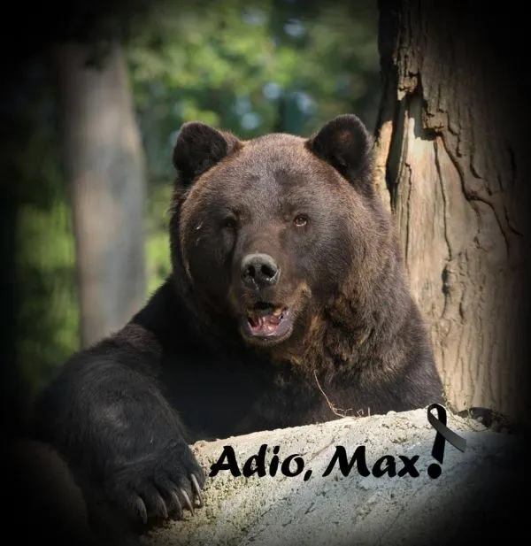 max