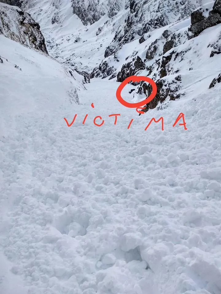 avalansa2