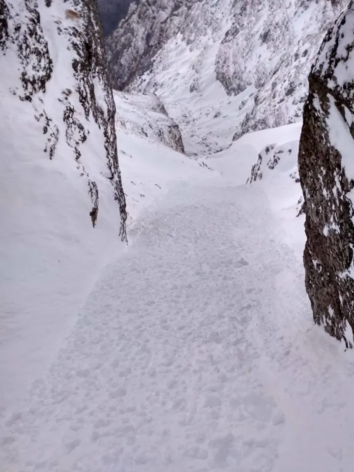 avalansa4
