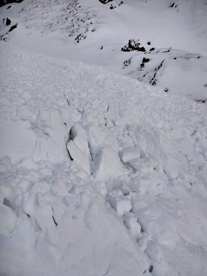 avalansa5
