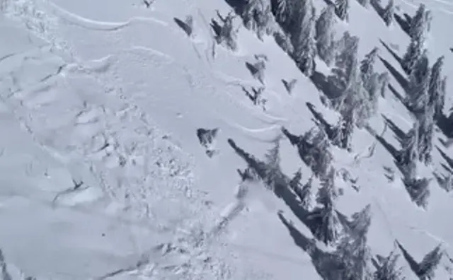 surprins_de_avalansa