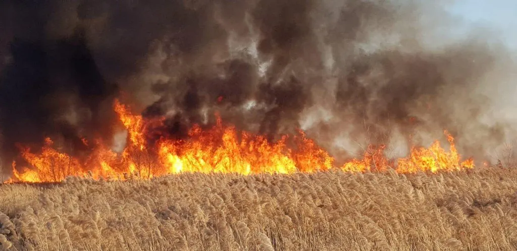 incendiu5f