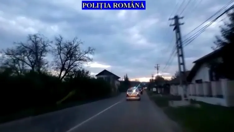 masini_perchezitii