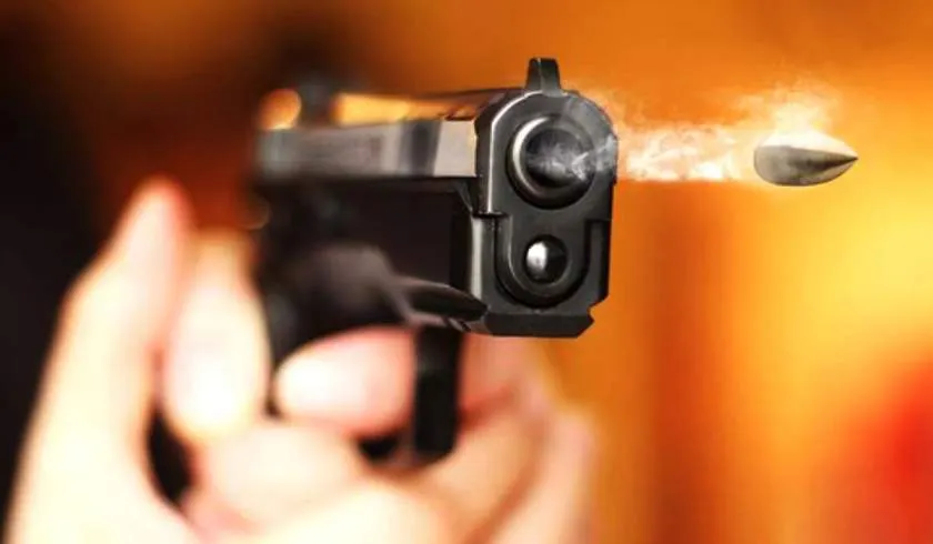 pistol