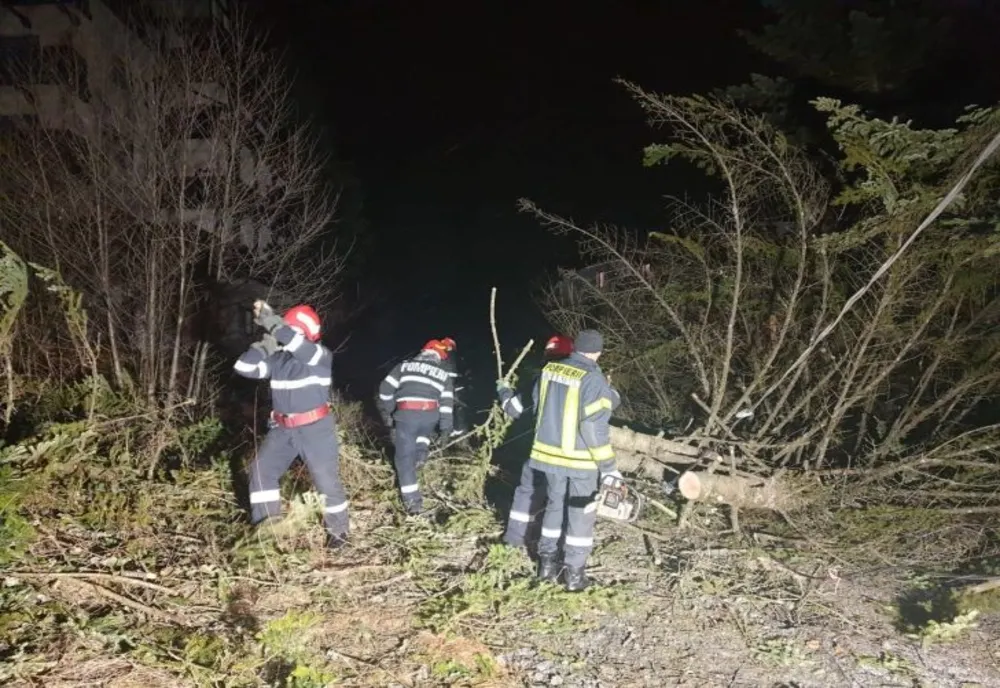 13.000 de locuințe din Prahova fără curent electric! Drumuri blocate de copacii căzuți!