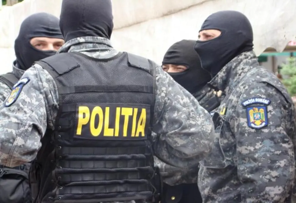 Percheziţii la contrabandişti de arme neletale din Prahova şi Timiş