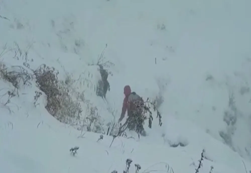 Turiști blocați pe Jepii Mari după ce au ignorat avertismentele Salvamont
