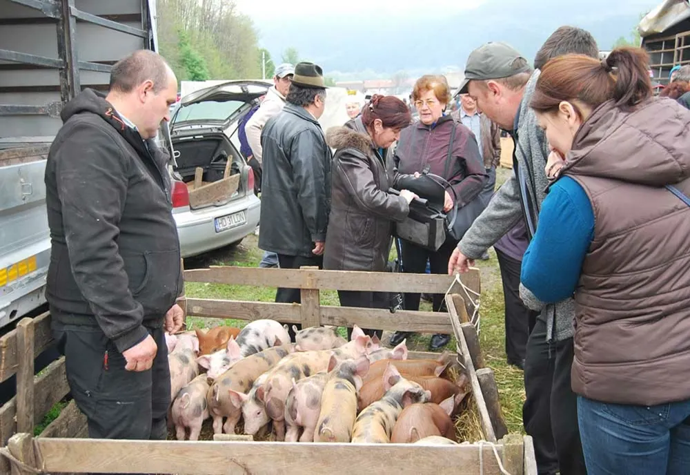 Veste bună pentru fermieri! Se redeschid toate târgurile de animale