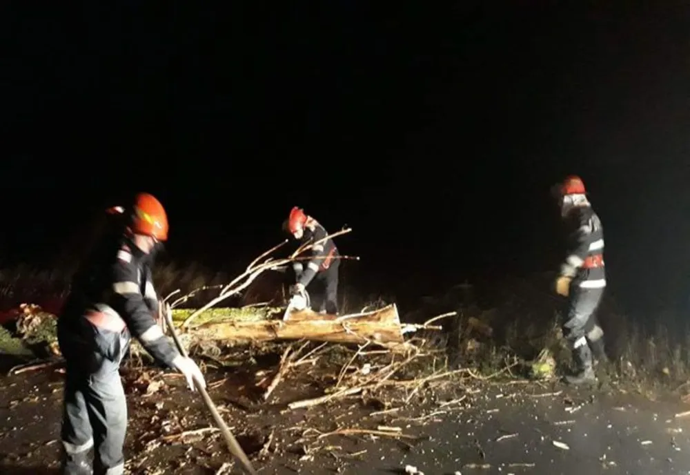 Trafic blocat pe DN 1, din cauza copacilor căzuți pe carosabil