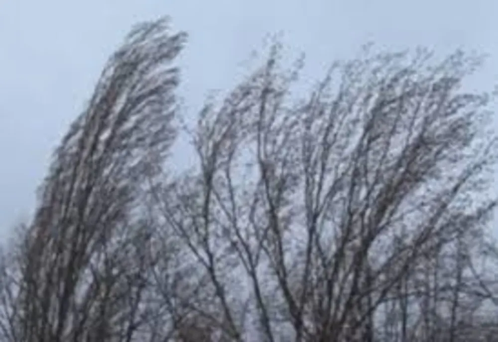Cod galben de vânt puternic în zona de munte din Prahova