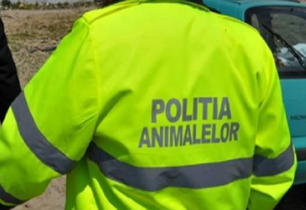 Dosar penal pentru un prahovean care şi-a lăsat calul să moară pe câmp