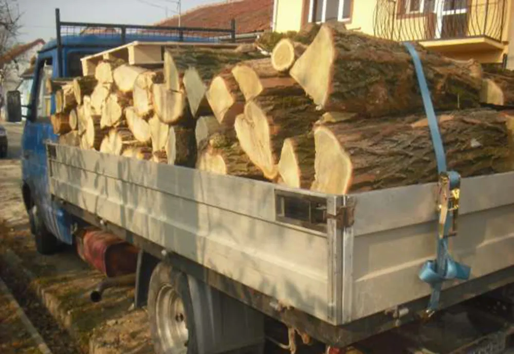 Prahova. Bărbat cercetat pentru tăiere ilegală și furt de arbori