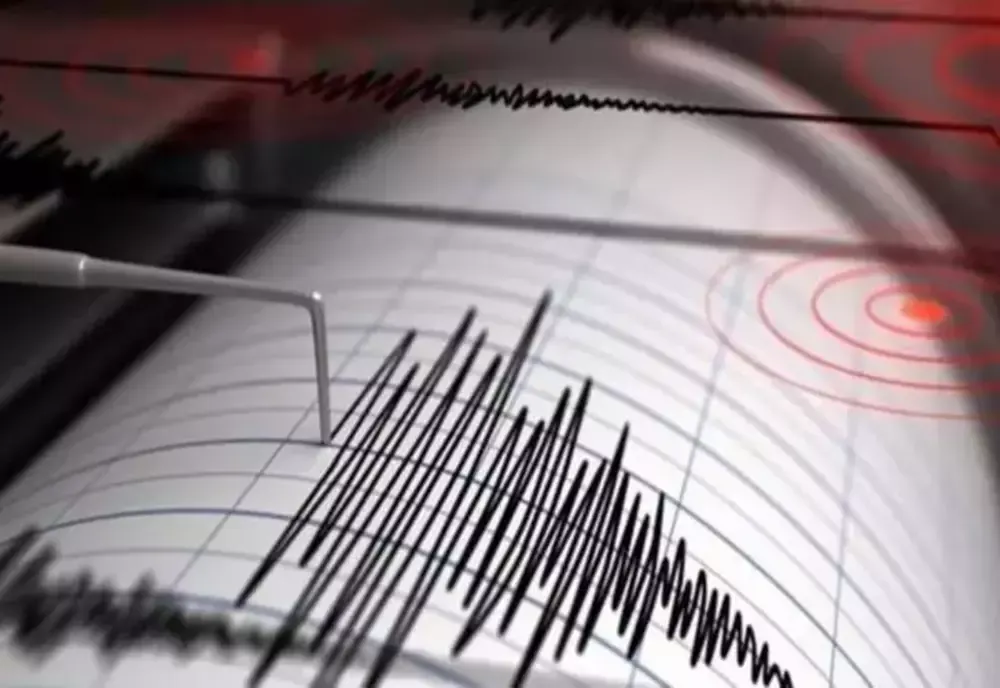 Cutremur de peste 5 grade pe scara Richter, în Vrancea - Seismul s-a resimțit în toată țara
