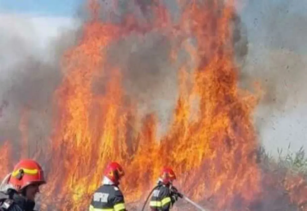 INCENDIU DE VEGETAȚIE CU PROPAGARE VIOLENTĂ, DIN CAUZA VÂNTULUI PUTERNIC