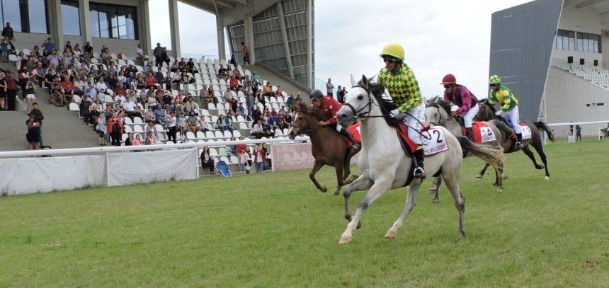 hip-galop7