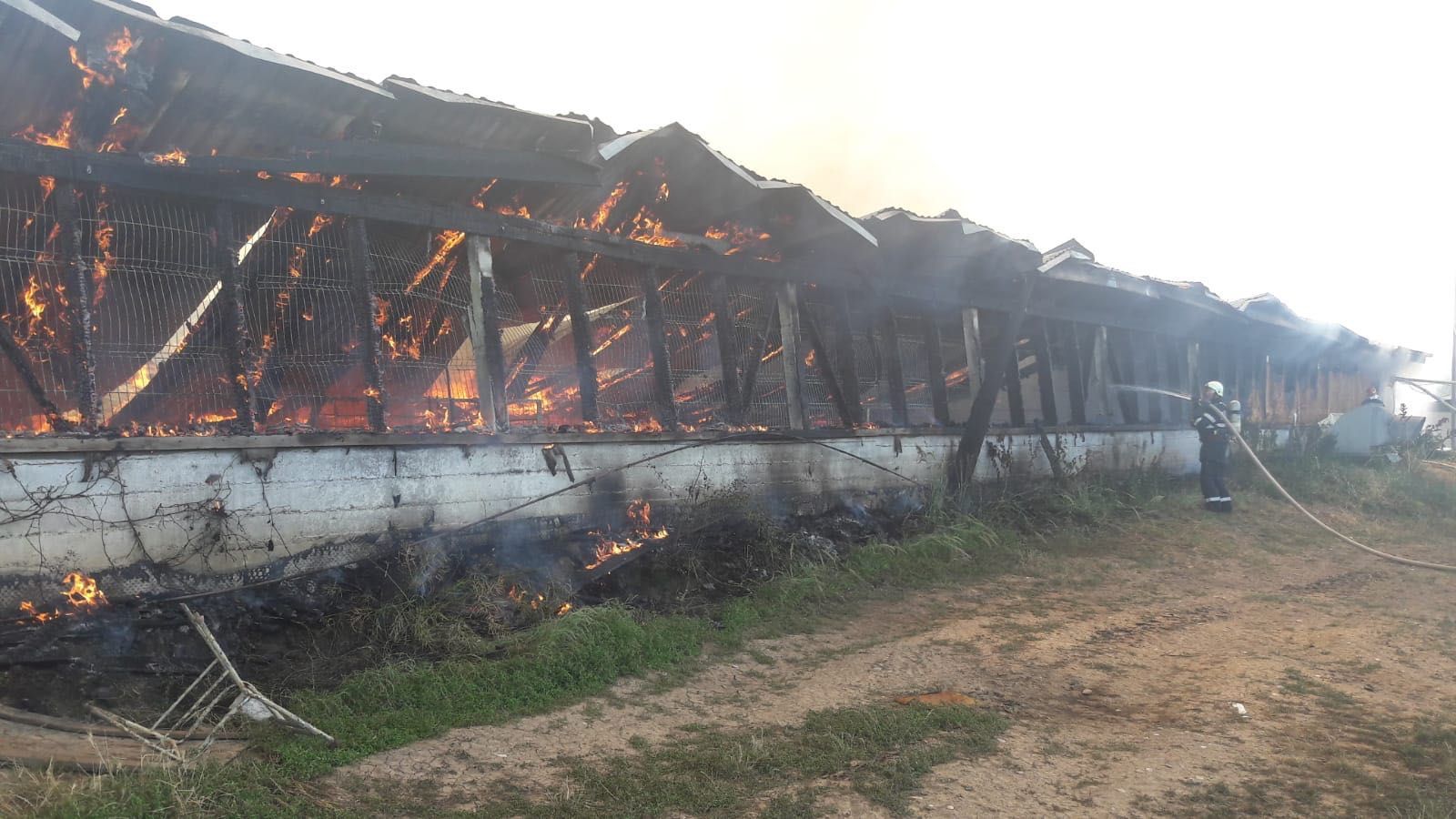 incendiulll