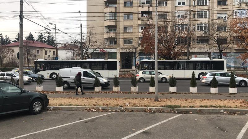 autobuze_noi