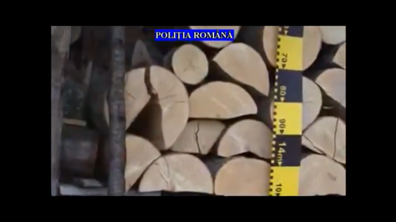 lemne_perchezitii