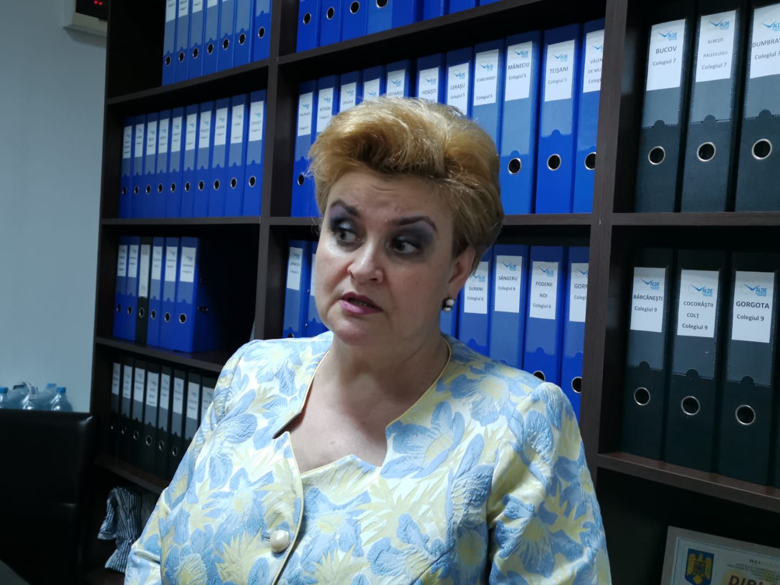 gratiela_gavrilescu