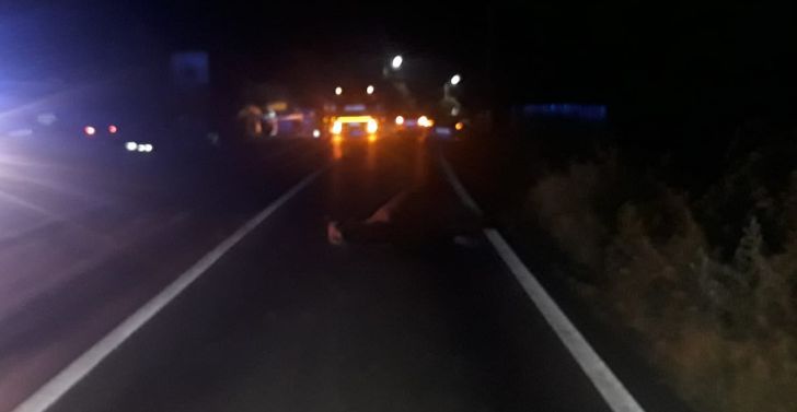 accident_cal