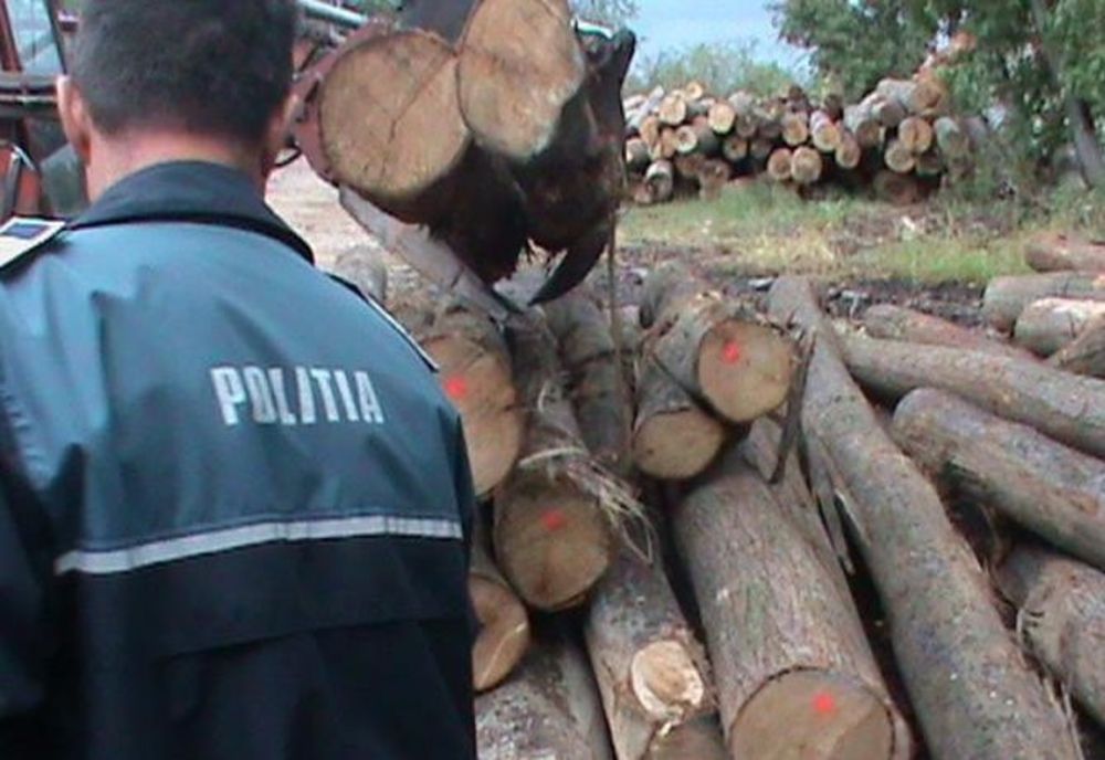 Sancțiuni de peste 260.000 DE LEI aplicate de polițiștii prahoeni în cadrul unor acțiuni pentru combatere a delictelor silvice