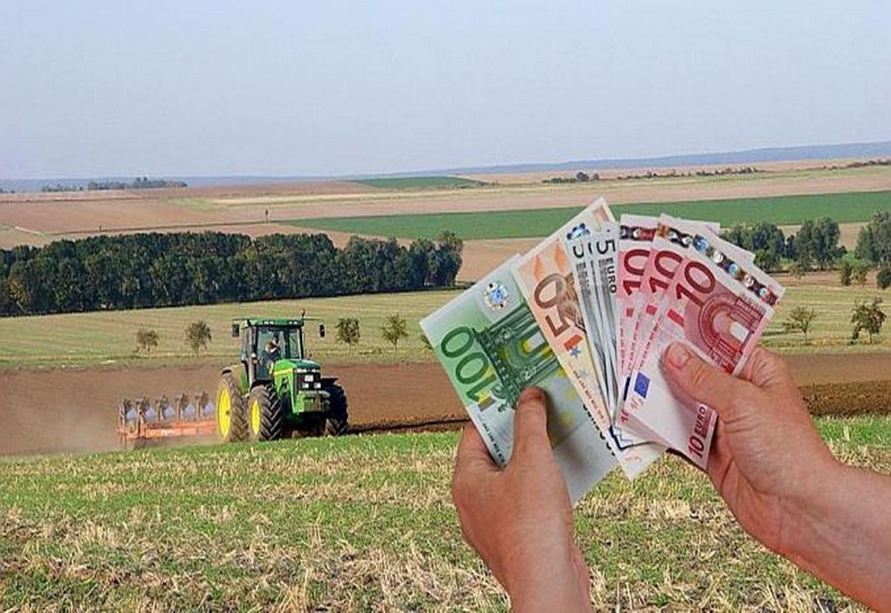 Guvernul alocă bani pentru sprijinirea fermierilor afectaţi de pandemie