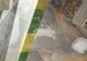 VIDEO Iepuraș mort în vitrina unui pet-shop dintr-un mall din Ploiești