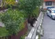 VIDEO Un pui de urs a coborât, în plină zi, printre blocurile din Bușteni